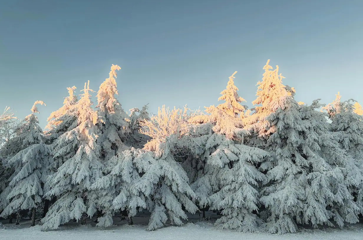 intercambio-inverno